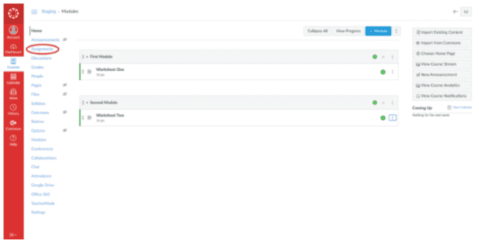 TeacherMade-and-Canvas-LMS-4